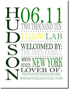 Pet_-_Hudson