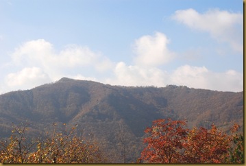 Monte di Facciano