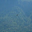We were higher than the flying birds!