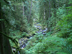 columbia_river_gorge