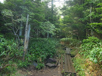 R0011479.JPG Photo