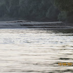 IMG_6435.JPG