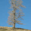 DSCN0966.JPG