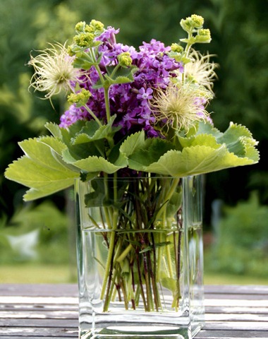 [Sommarblom%2520copy%255B4%255D.jpg]