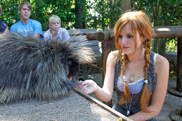 bella-thorne-sexta-proibida-sensual-sexy-sedutora-novinha-desbaratinando (129) bella-thorne-sexta-proibida-sensual-sexy-sedutora-novinha-desbaratinando (129)