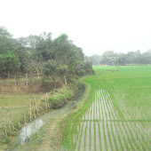 アムラボ村の農村風景.JPG