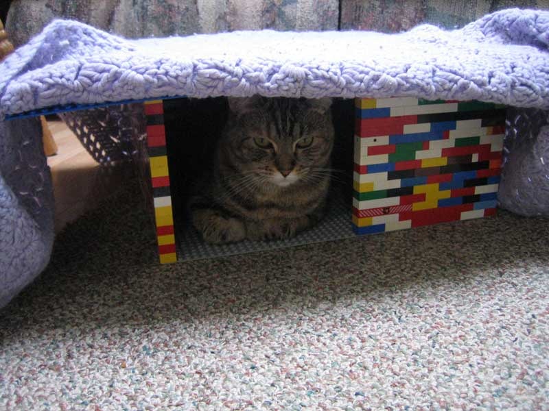[Lego-kitty-box-2386%255B3%255D.jpg]