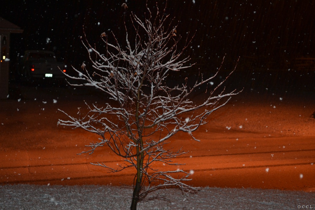[DSC_2471%255B3%255D.jpg]