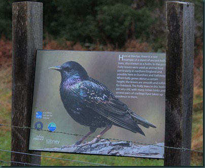 11-starling-sign