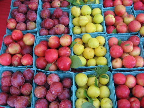 [plums%255B7%255D.jpg]