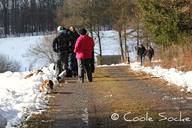 [IMG_8830%255B3%255D.jpg]