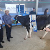 superleite2011_dia1607_32.JPG