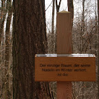 singold-bote_waldlehrpfad-schwabegg_012.jpg