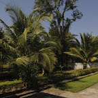 DSC_8139.jpg