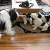 DSCN0265.JPG