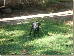 IMG_0241 IMG_0241