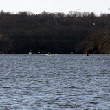 Rory Rowing