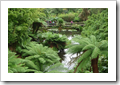 The Lost Gardens of Heligan