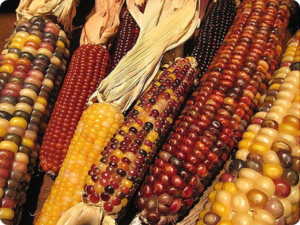 IMG_0646 IMG_0646