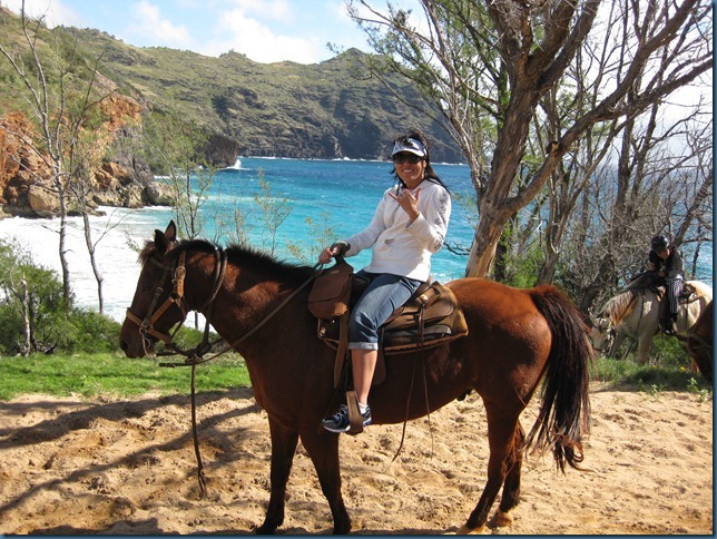 kauai_horse_aya5