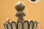 IMG_6494.JPG