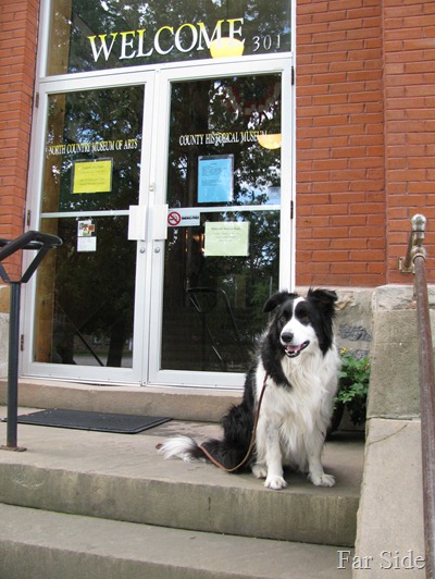 Chance at the museum