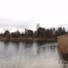 dsc05233.jpg