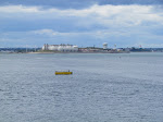 IMG_1684.jpg