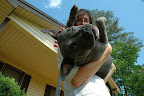 Elizabeth and adopted pittie Trip, carefree at home. Trip's stressful days of hoping to be rescued are now a distant memory! Elizabeth and adopted pittie Trip, carefree at home. Trip's stressful days of hoping to be rescued are now a distant memory!