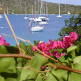 DIGITAL CAMERA