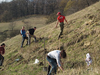 P1017045.JPG