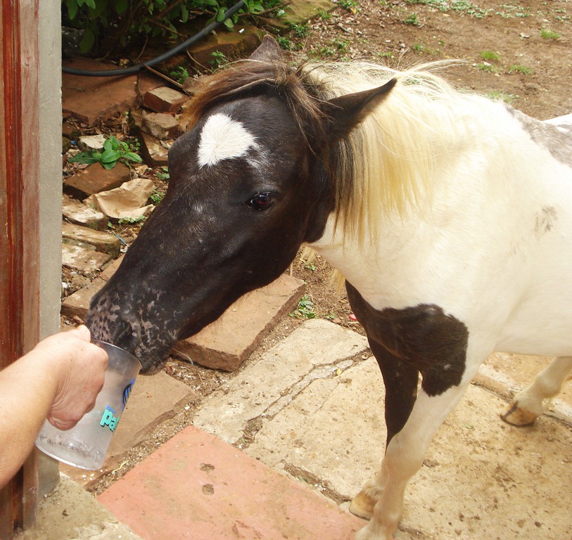 [DSC03932%255B7%255D.jpg]