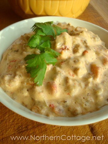 [Dip%2520Recipe%2520%2540NorthernCottage.net%255B7%255D.jpg]