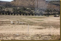 IMG_0206 IMG_0206