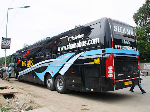 Shama Big Bus