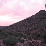 IMG_2535.JPG