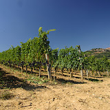 montepulciano Foto album Italië
