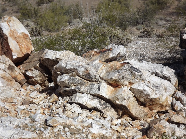 [DSCF08762.jpg]