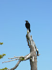Crater Lake (73).JPG