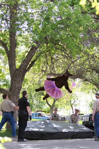 [falling-bear-meme-5%255B2%255D.jpg]