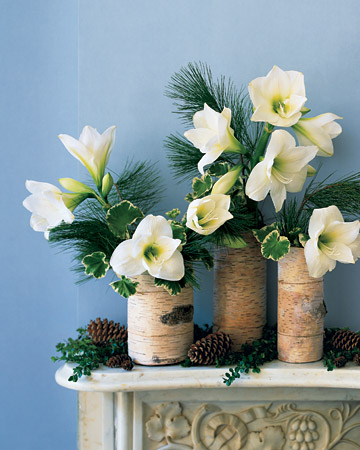 Create a serene winter tableau with this simple arrangement: birch bark wrapped around glass cylinders filled with plants found easily at this time of year. Create a serene winter tableau with this simple arrangement: birch bark wrapped around glass cylinders filled with plants found easily at this time of year.