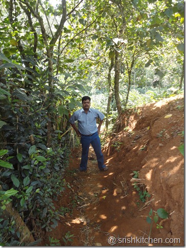 munnar tour 270 munnar tour 270