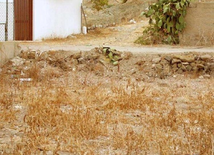[a%2520ver%2520al%2520gato%255B3%255D.jpg]
