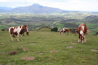 La Rhune.
