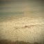 IMAG0581.jpg
