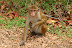 Natura :: Img0344.jpg