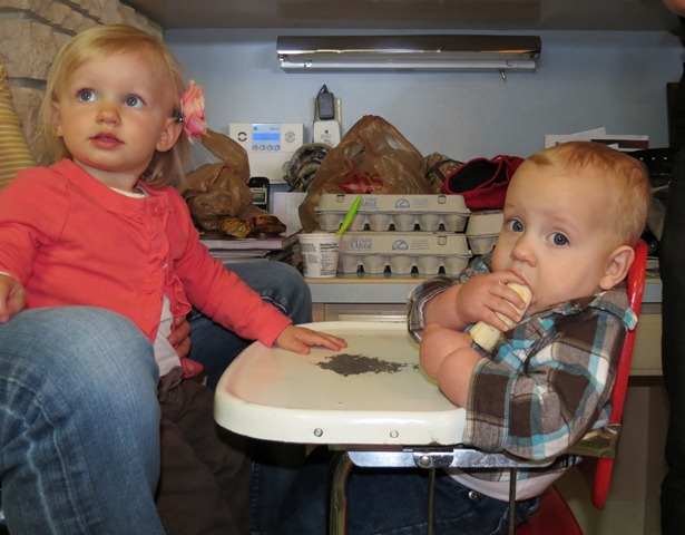 IMG_0540 IMG_0540