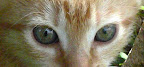 Luca in Klein und Blauäugig