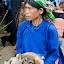 LaoCaianimalmarket