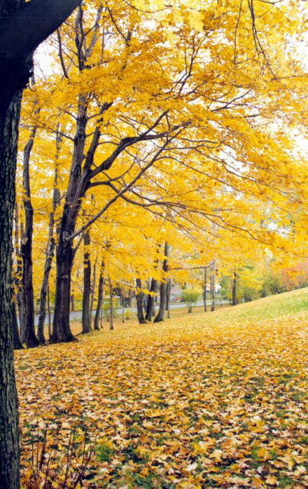 Image Dimension: 440x698 :: Photos: Trust me its Real Photos: Trust me its Real